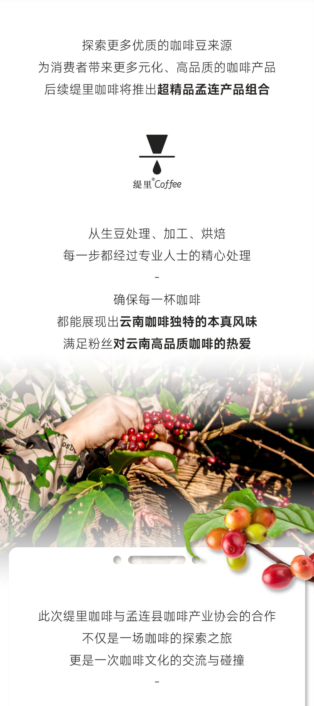 广州开咖啡馆