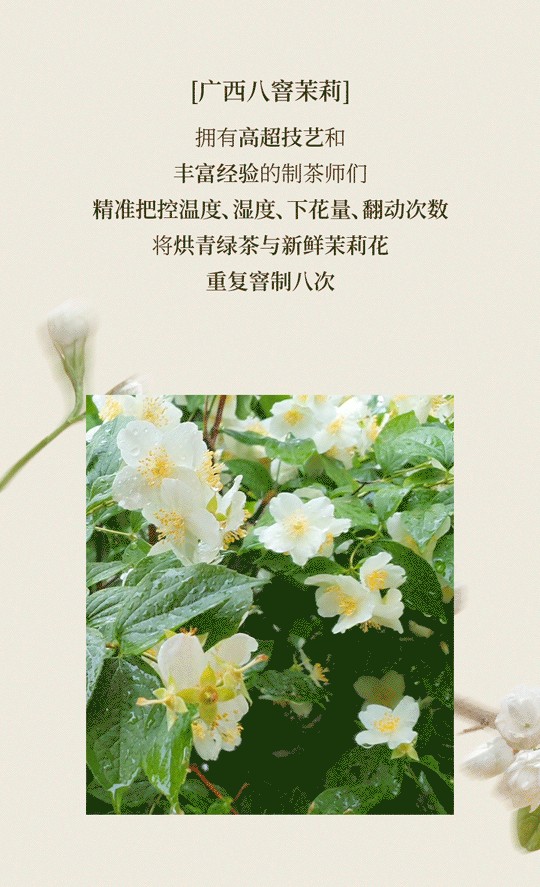 广州开咖啡馆