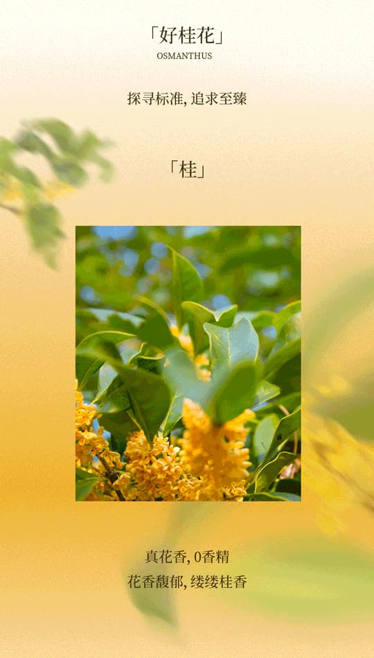 广州开咖啡馆