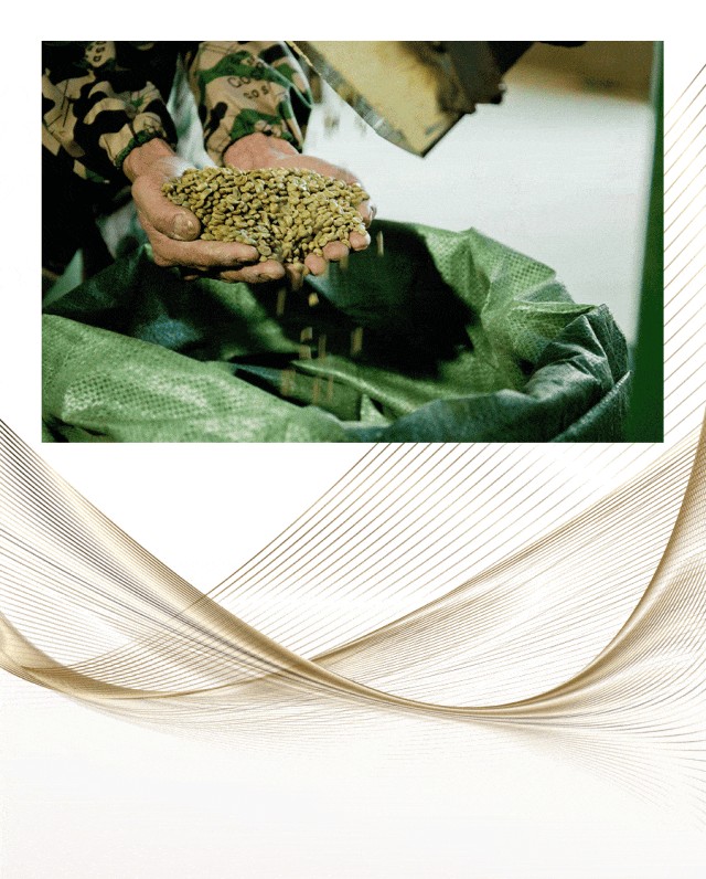 广州开咖啡馆