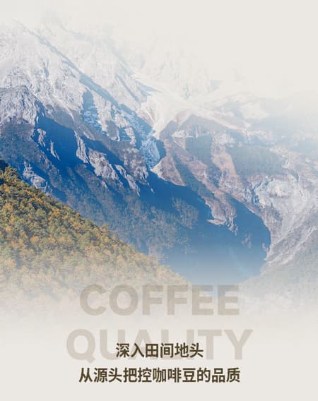 广州开咖啡馆