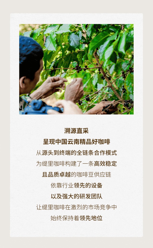 广州开咖啡馆