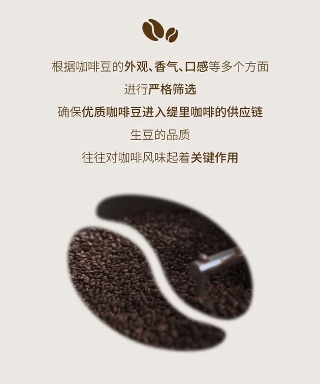 广州开咖啡馆