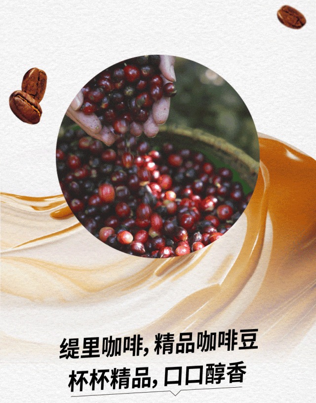 广州开咖啡馆