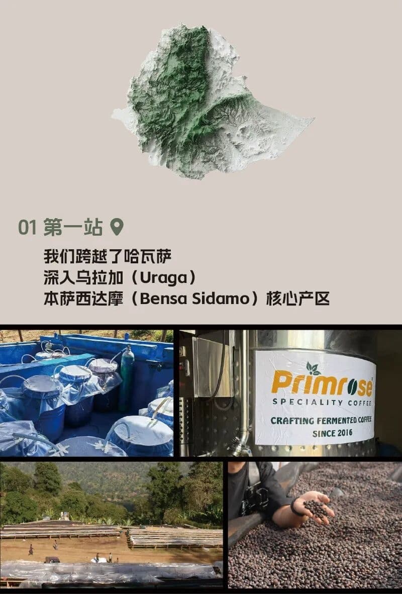 咖啡加盟品牌,连锁咖啡品牌