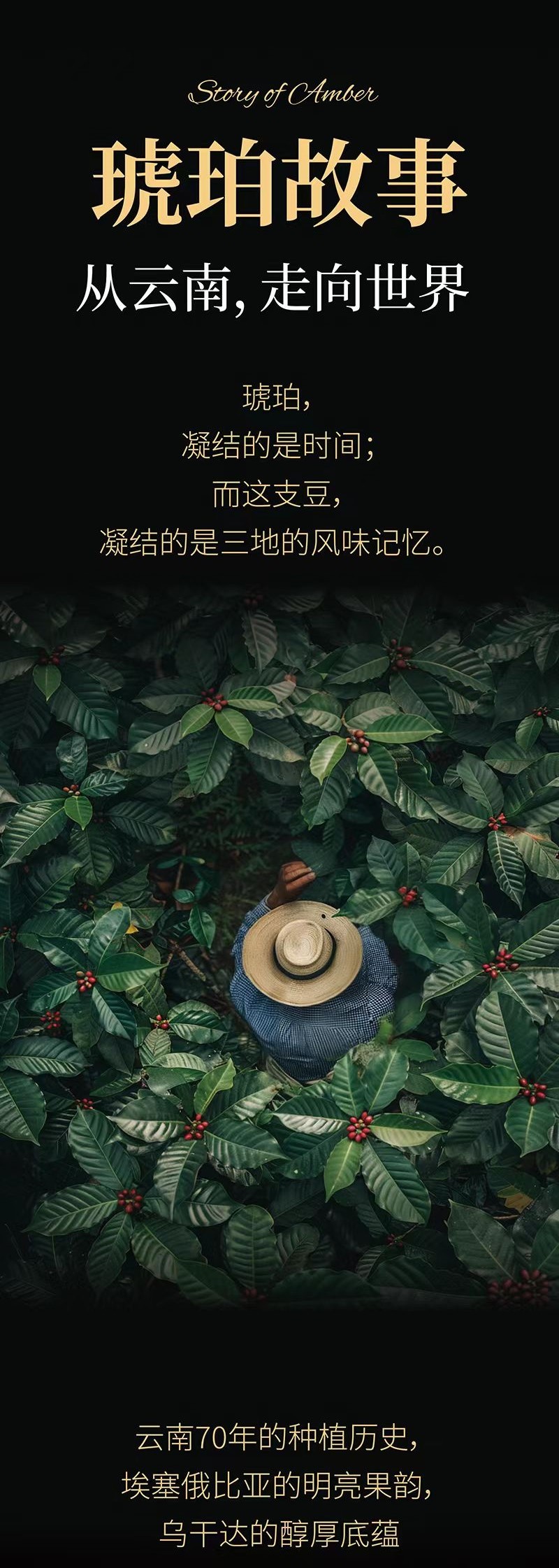 咖啡加盟品牌,连锁咖啡品牌 咖啡加盟品牌,连锁咖啡品牌