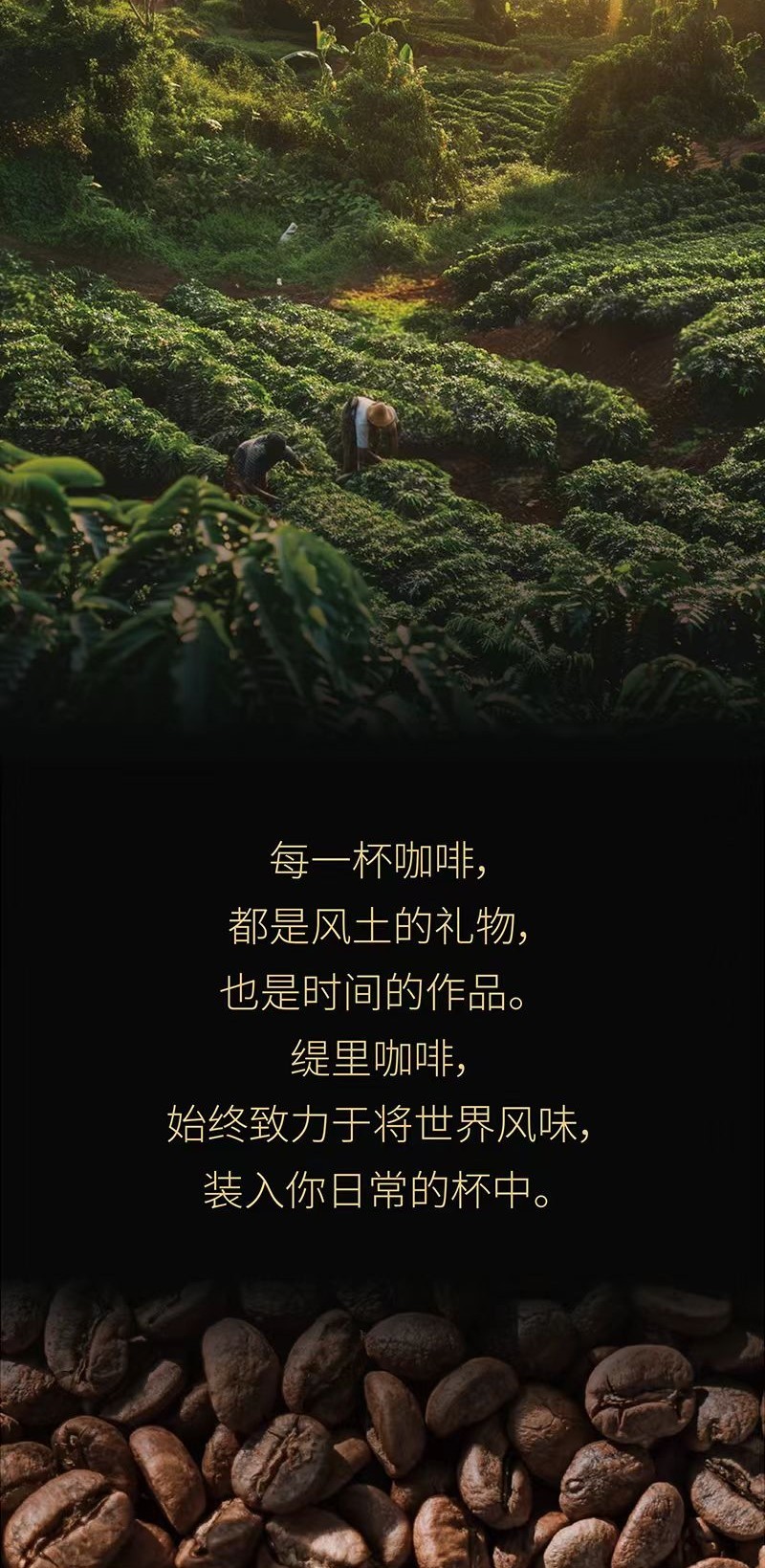咖啡加盟品牌,连锁咖啡品牌 咖啡加盟品牌,连锁咖啡品牌
